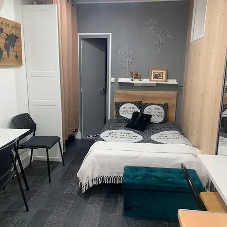 Studio En Centre-Ville Clermont-Ferrand